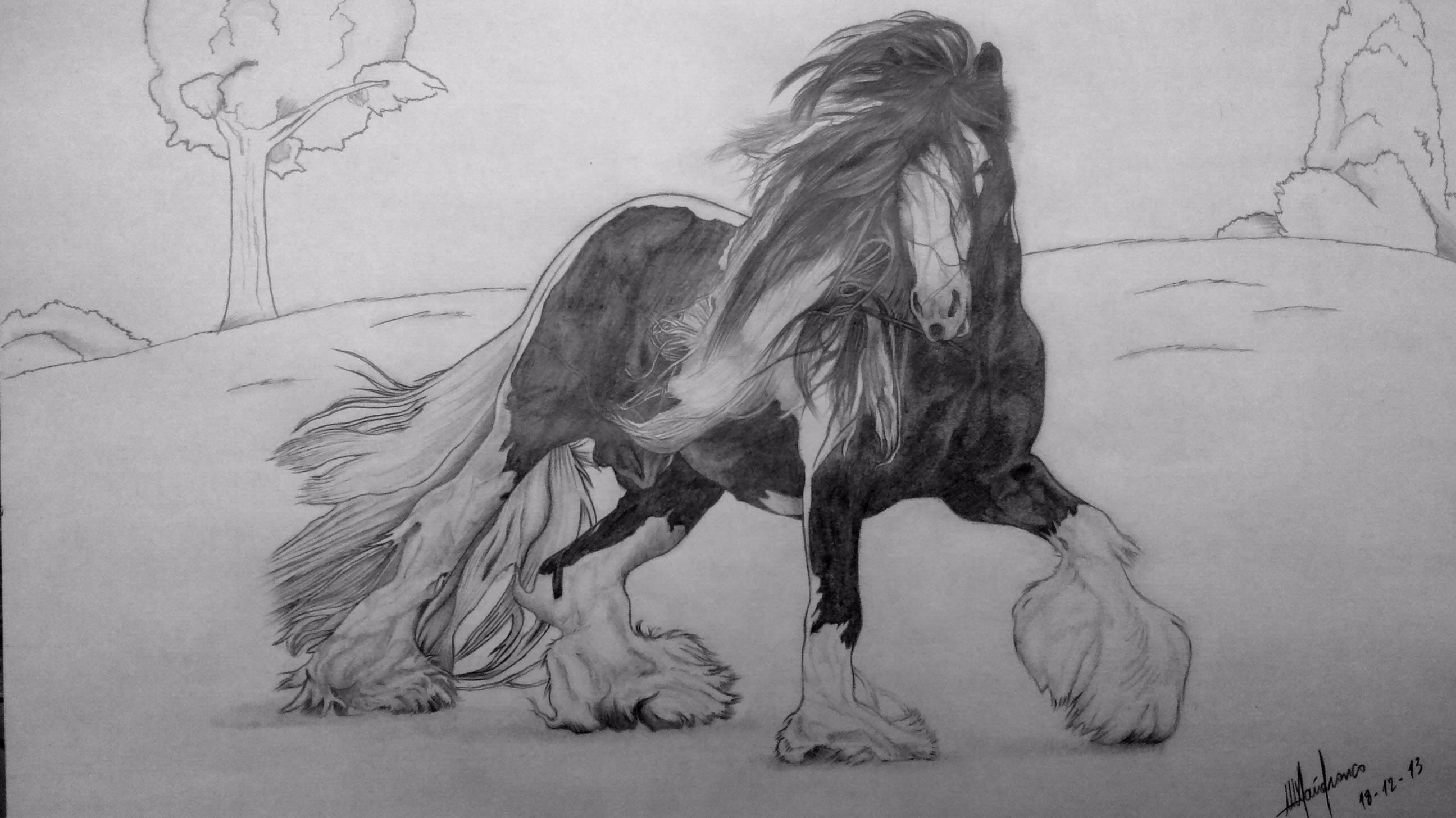 Cavalo  O Real Desenho